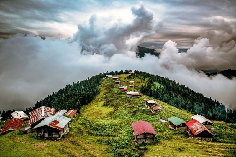 POKUT & SAL YAYLASI